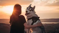 Nejvěrnější přítel člověka: může pes zapomenout na svého majitele?